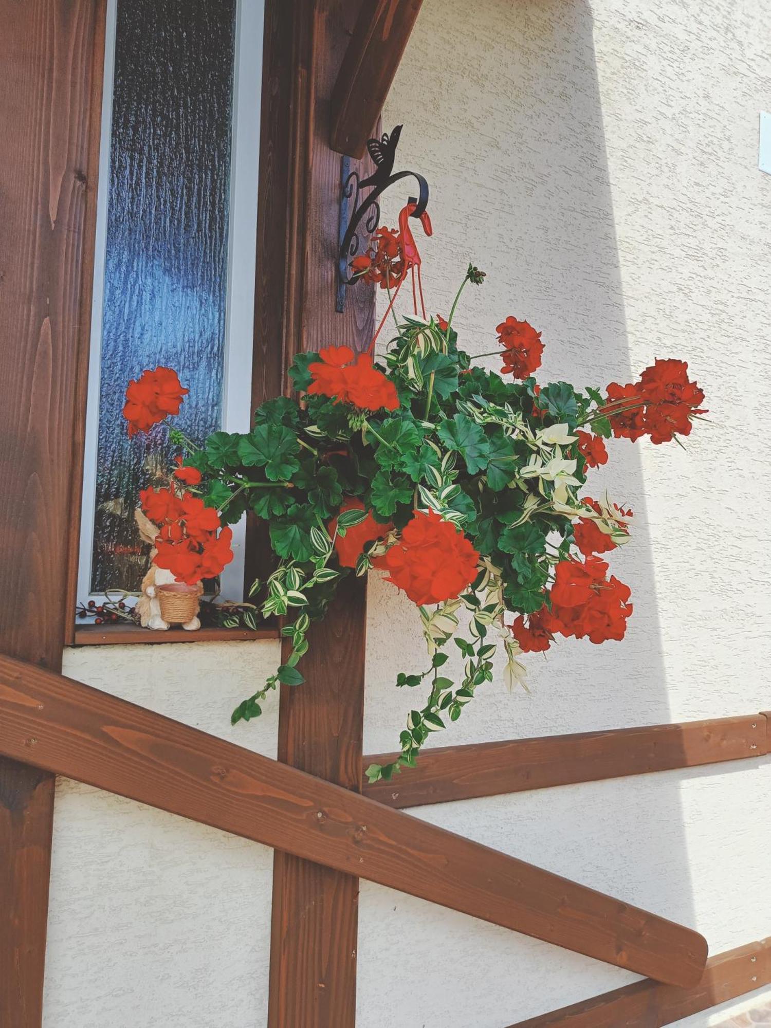 Residence Rooms Bucovina Campulung Moldovenesc Luaran gambar