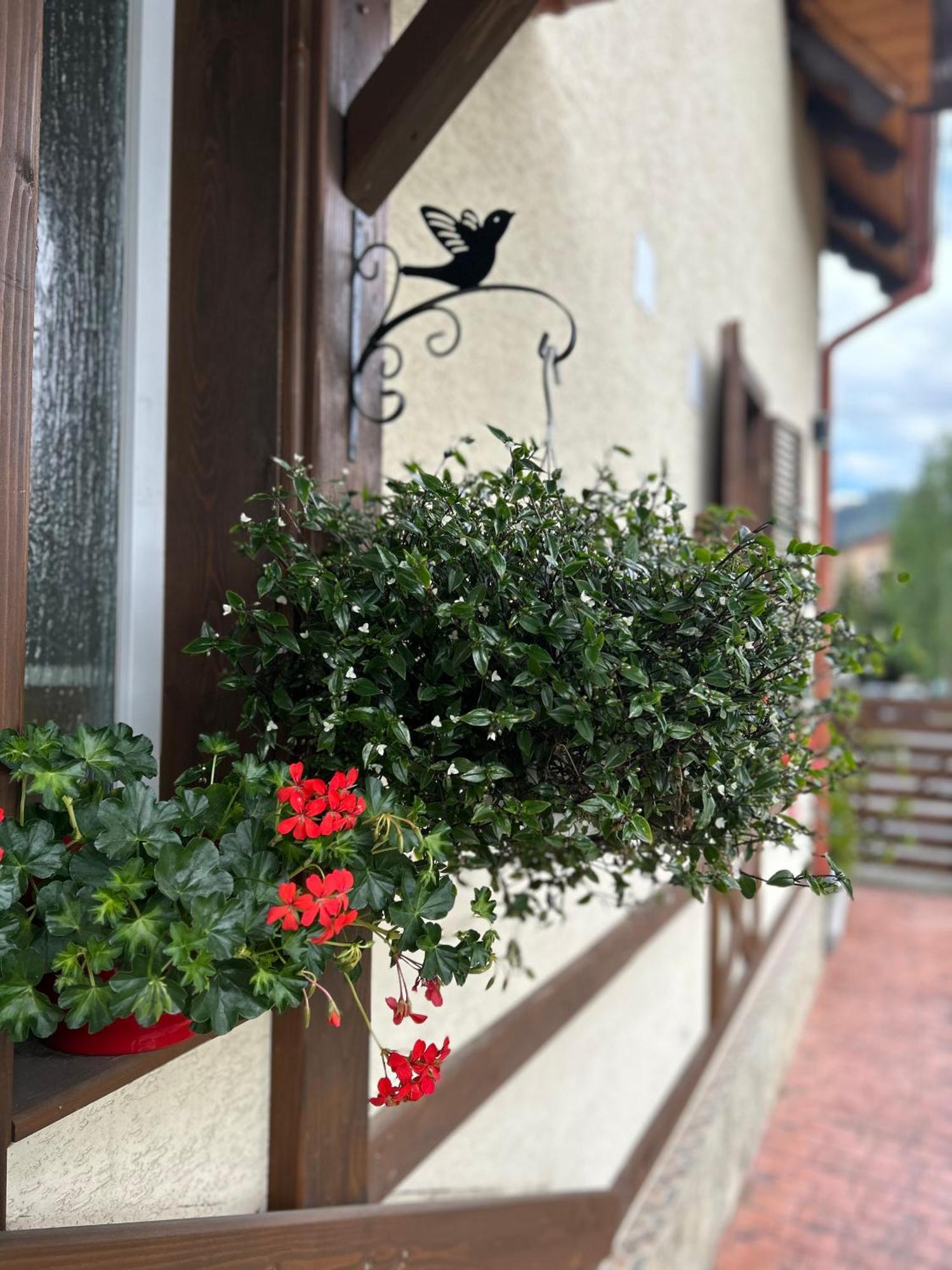 Residence Rooms Bucovina Campulung Moldovenesc Luaran gambar