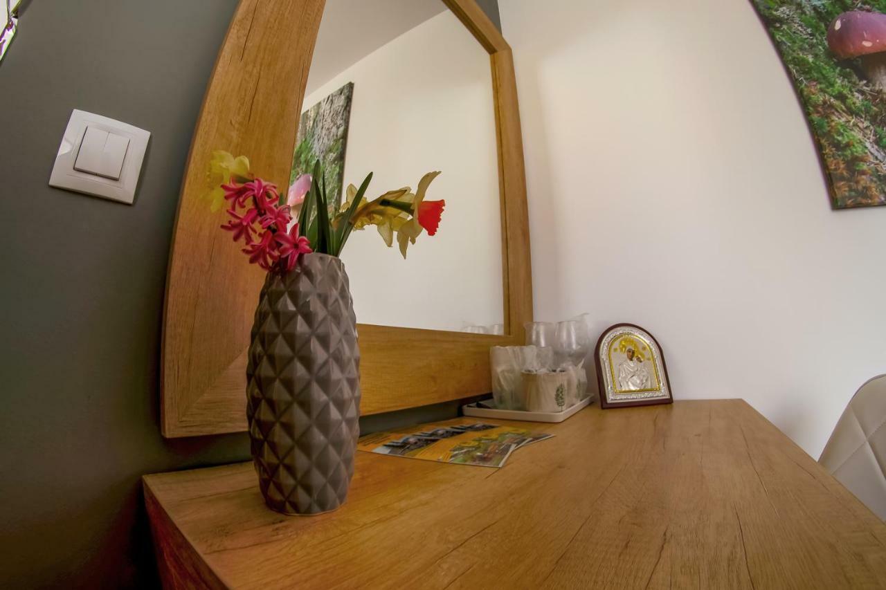 Residence Rooms Bucovina Campulung Moldovenesc Luaran gambar